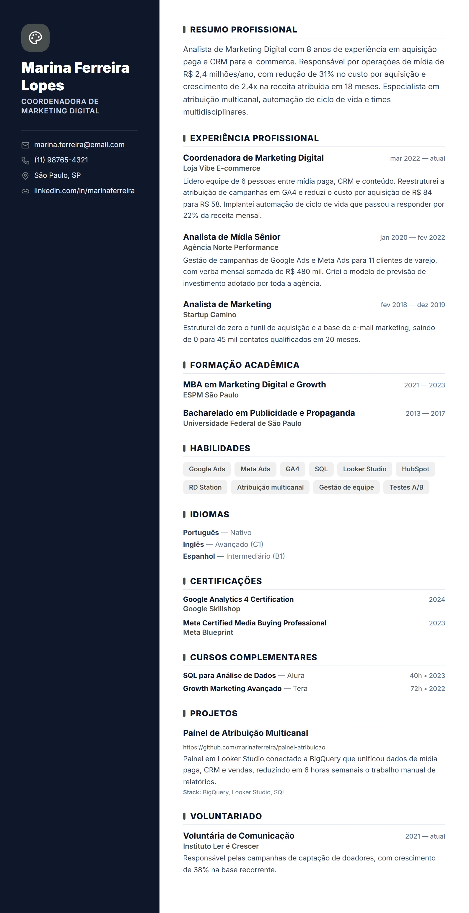 Modelo de currículo Infográfico